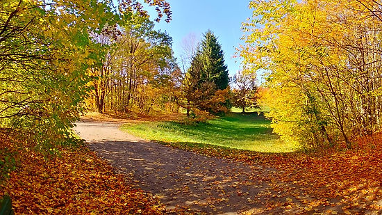 Herbstspaziergang durch einen Park